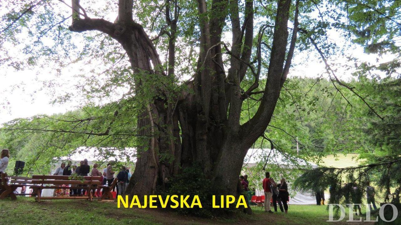 Gostilna Pik Panzió Prevalje Kültér fotó