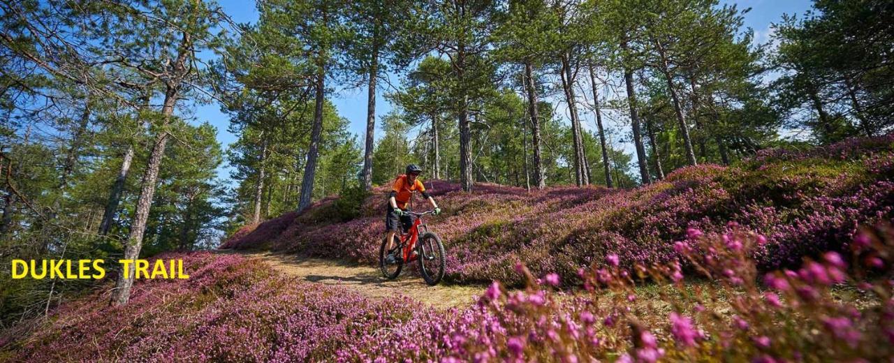 Gostilna Pik Panzió Prevalje Kültér fotó