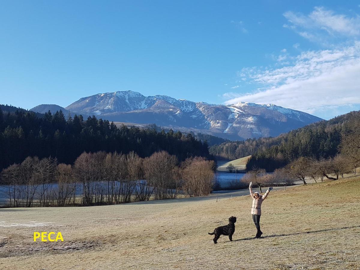 Gostilna Pik Panzió Prevalje Kültér fotó